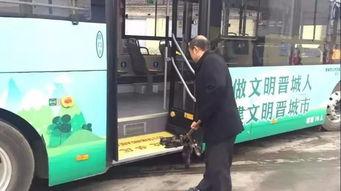 晋城公交爆料最新消息,揭秘新线路及优化调整详情  第1张